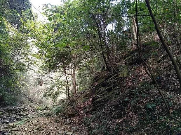 卡通汽车涂颜色